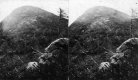 The Summit of Camel's Hump
