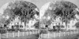 House with Tree and Tree Swing in Front