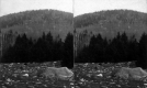Upland Field of Rocks - Glacial Erratics