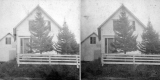 House with Conifers and Fence