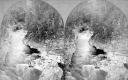 The Clarendon River Gorge