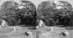 The Grove on Prospect Hill