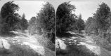 Cedar Avenue, Highgate Springs