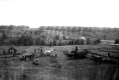 Haying in West Charleston