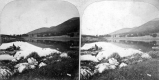 Trout Pond 