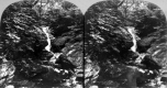 Downer's Glen