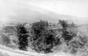 View of Trees and Farmland