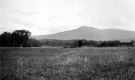 View of Mountain West of Wheeler Place