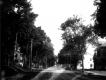 Houses Along Main Road