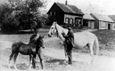 Horse and Pony at Wetherbee Farm