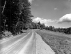 Gravel Road with Cow Pasture