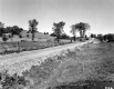 Gravel Road through Pastures
