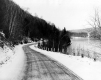 Winter Scene near water