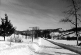 Winter Scene along Route 12
