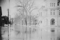 Flooded Street Lined with Elms