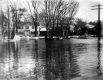 Flooded intersection