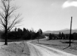 Dirt Road Through a Field