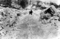 Horse Travel on an Ice-Dammed Road