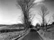 Dirt Road with Agricultural Fields in Distance