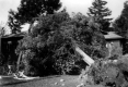 Hovey's Camp at Joe's Pond in West Danville