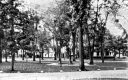 Arnold Park