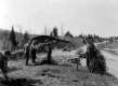 Tree Planting on Route 5