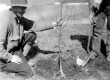Close Up of Tree Planting