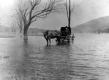 Horsedrawn Carriage through Flooding