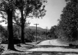Dirt Road and Car