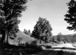 Rural Road with Truck