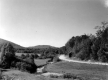 Dirt Road and Stream