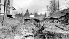 Washout of Main Road