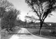 Dirt Road with Outcrop on Left
