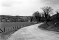 Winding Dirt Road around a Pasture