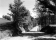Dirt Road in the Country