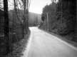 Dirt Road and Stream