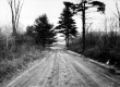 Dirt Road with tracks down the middle