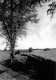 Cow Pasture with wire fence