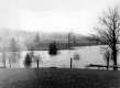 The Tucker Farm