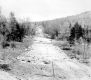 Constructing a Road through the Woods