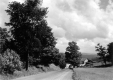 Dirt Road and House