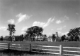 View of Church, House and Field on Craftsbury Common