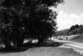 Cars Traveling on Route 2