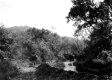 Truck traveling up a streambed