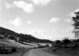 Bend in the Road
