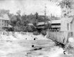 Arnold Falls and Concord Avenue Bridge