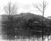 Harris Hill through the Trees