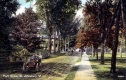 Travel on Park Street