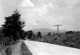 Country Drive along Pastures