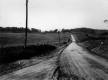 Cow Crossing